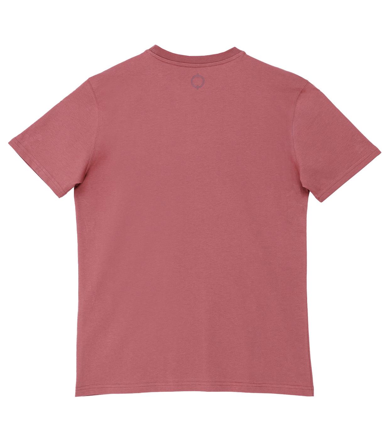 Phoenix And Fire Regular Tshirt - Gül Kurusu