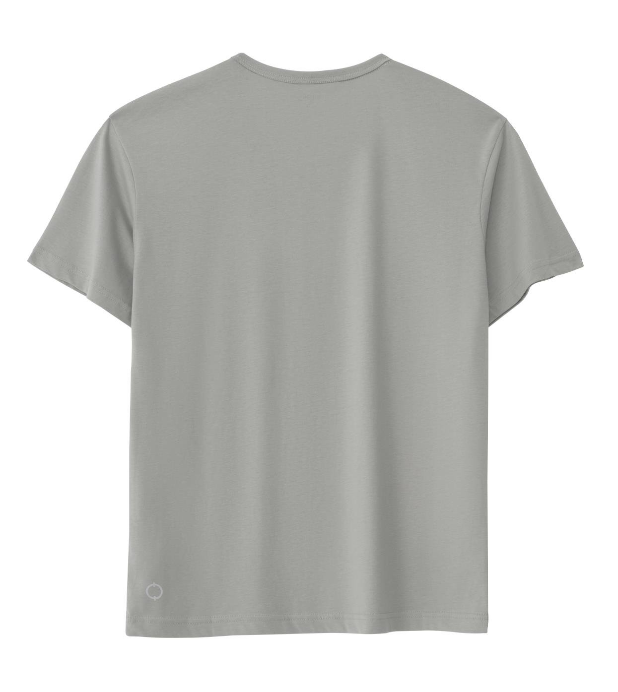 Regular Bisiklet Yaka Tshirt - Açık Gri