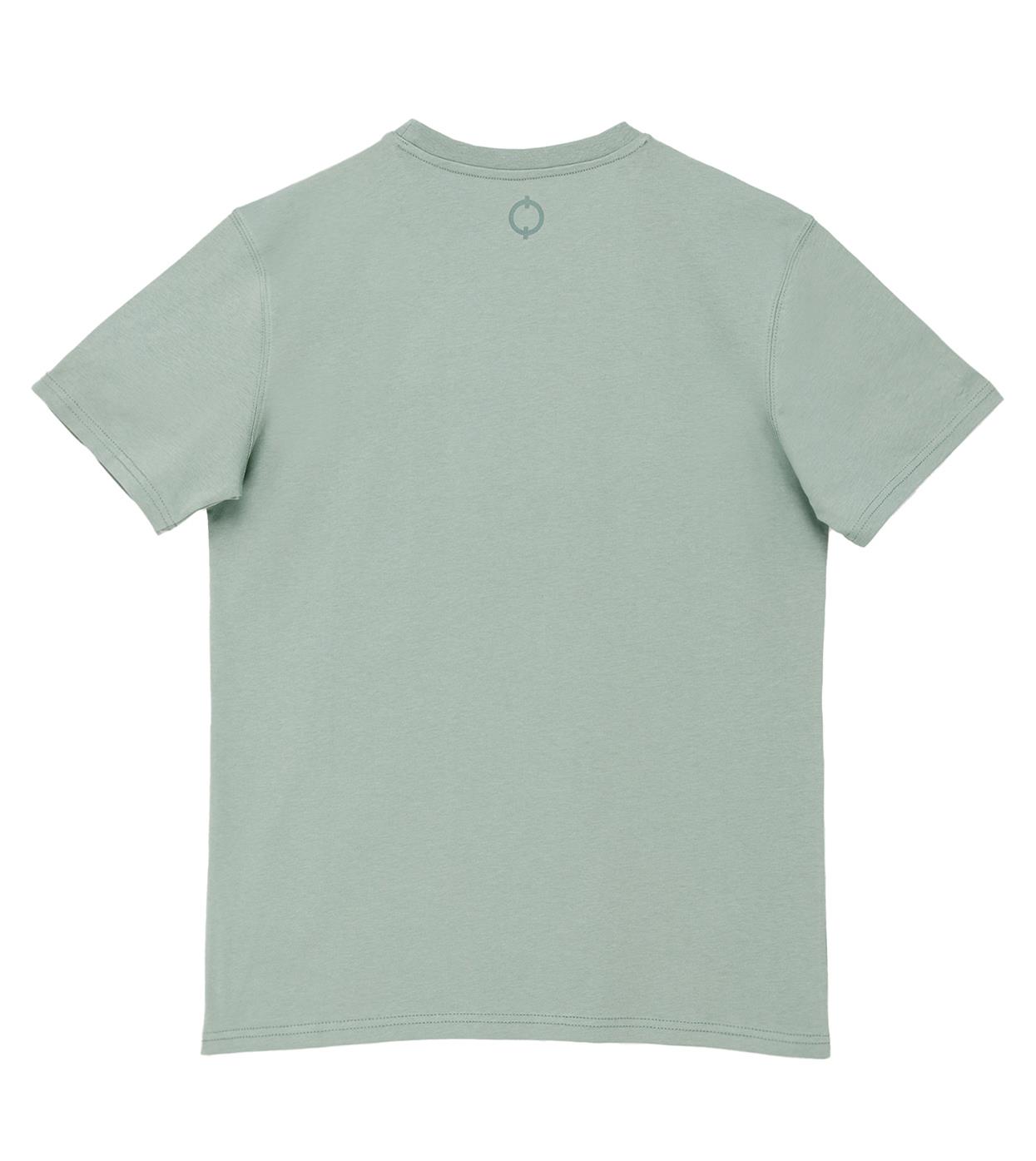 Shark Flys Regular Tshirt - Mint Yeşili