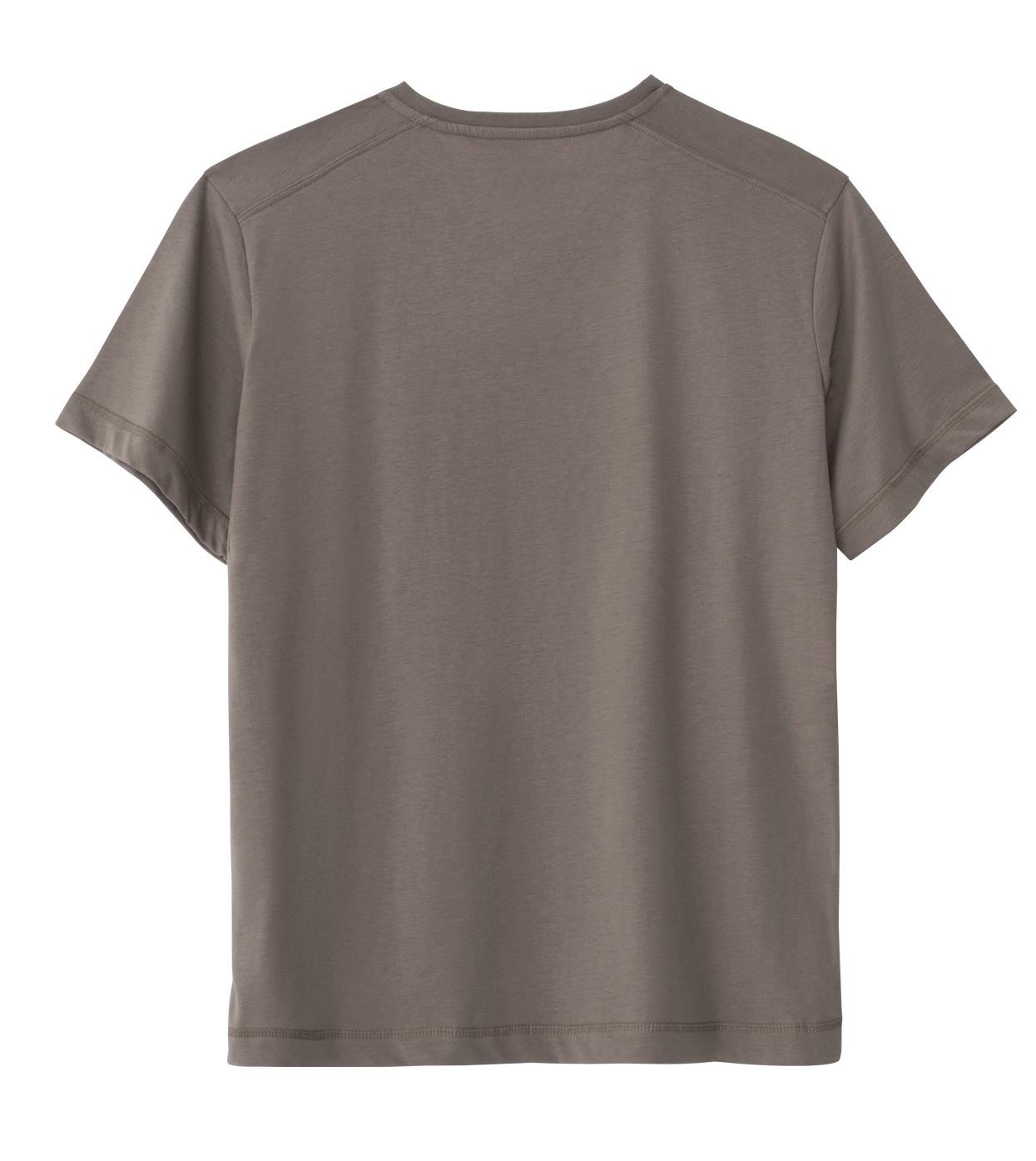 Regular V Yaka Tshirt - Vizon