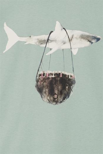 Shark Flys Regular Tshirt - Mint Yeşili