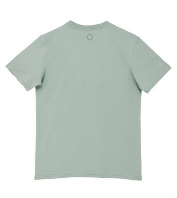 Shark Flys Regular Tshirt - Mint Yeşili