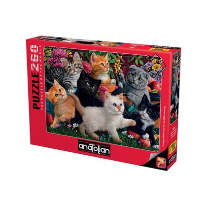 Oyuncu Kediler / Kittens at Play 260