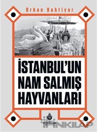 İstanbul’un Nam Salmış Hayvanları