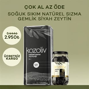  Soğuk Sıkım Natürel Sızma Zeytinyağı 5 LT + Doğal Gemlik Çeşidi Yağlı Siyah Zeytin 650 gr Zeytinyağı