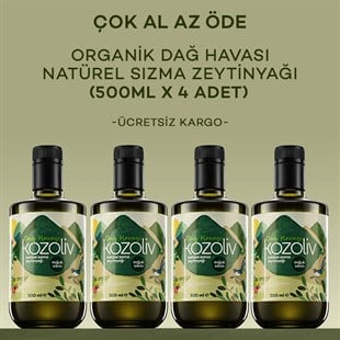 Organik Erken Hasat Soğuk Sıkım Zeytinyağı - İçimlik - Anne & Bebek & Çocuk - Dağ Havası 4'lü 500ml Erken Hasat Natürel Sızma Zeytinyağı