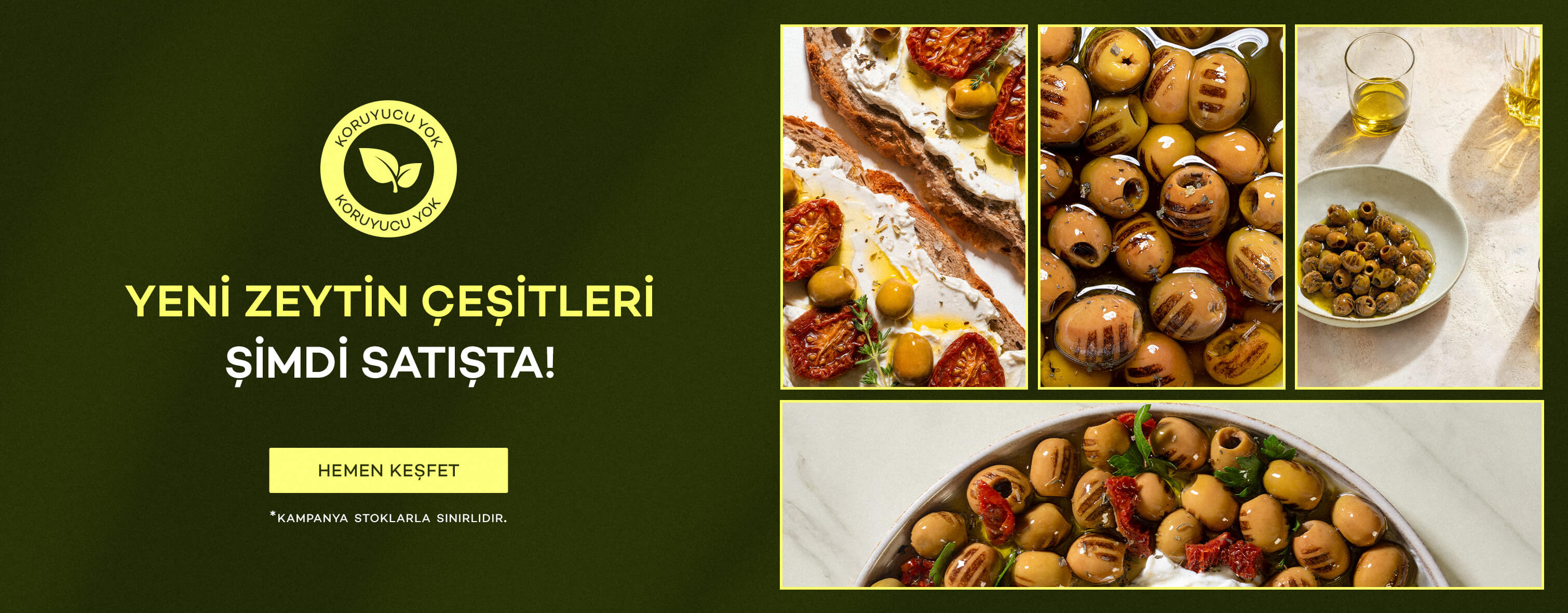 Hemen Keşfedin!