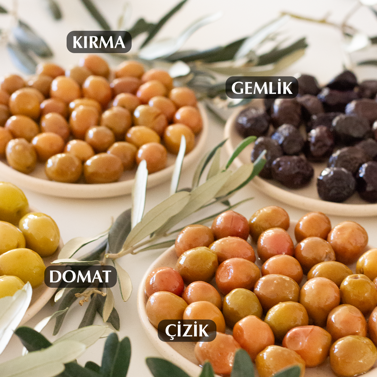 Doğal Ayvalık Çeşidi Çizik Yeşil Zeytin 640 gr Cam Kavanoz Satın