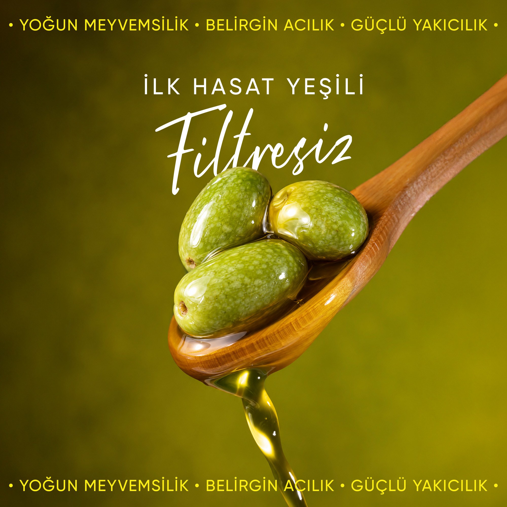 Filtresiz Yeni Mahsul Erken Hasat Natürel Sızma Soğuk Sıkım Zeytinyağı 500 ml 2026-2027 Sezon Soğuk Sıkım Natürel Sızma Zeytinyağı