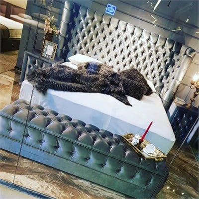 3A Green Class Yatakbaşı 