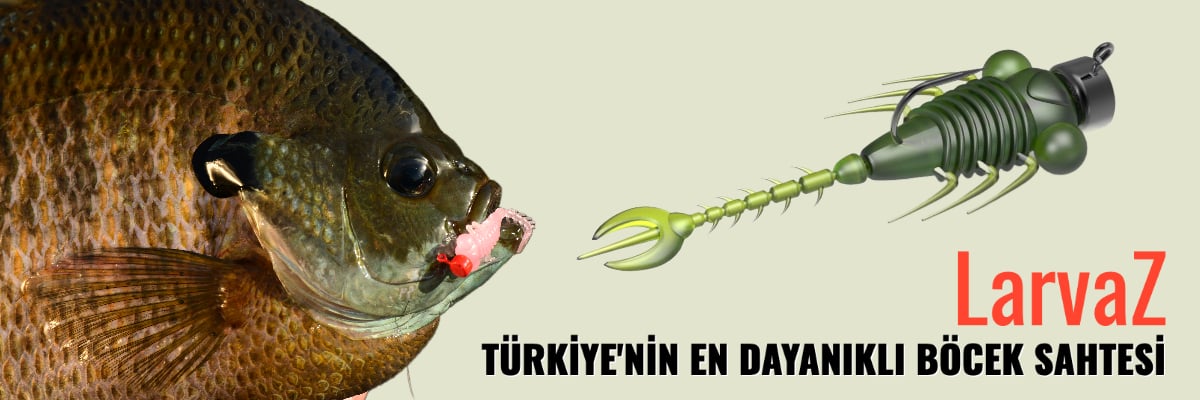 Z-Man LarvaZ böcek larvası yeminin su altı görüntüsü