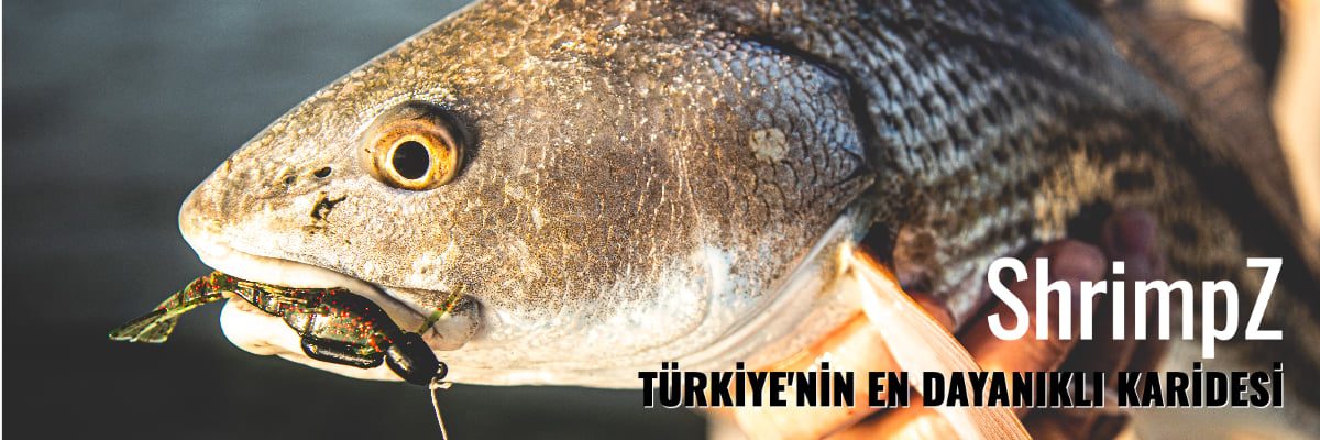 Z-Man EZ ShrimpZ hazır donanımlı karides yeminin su altı görüntüsü
