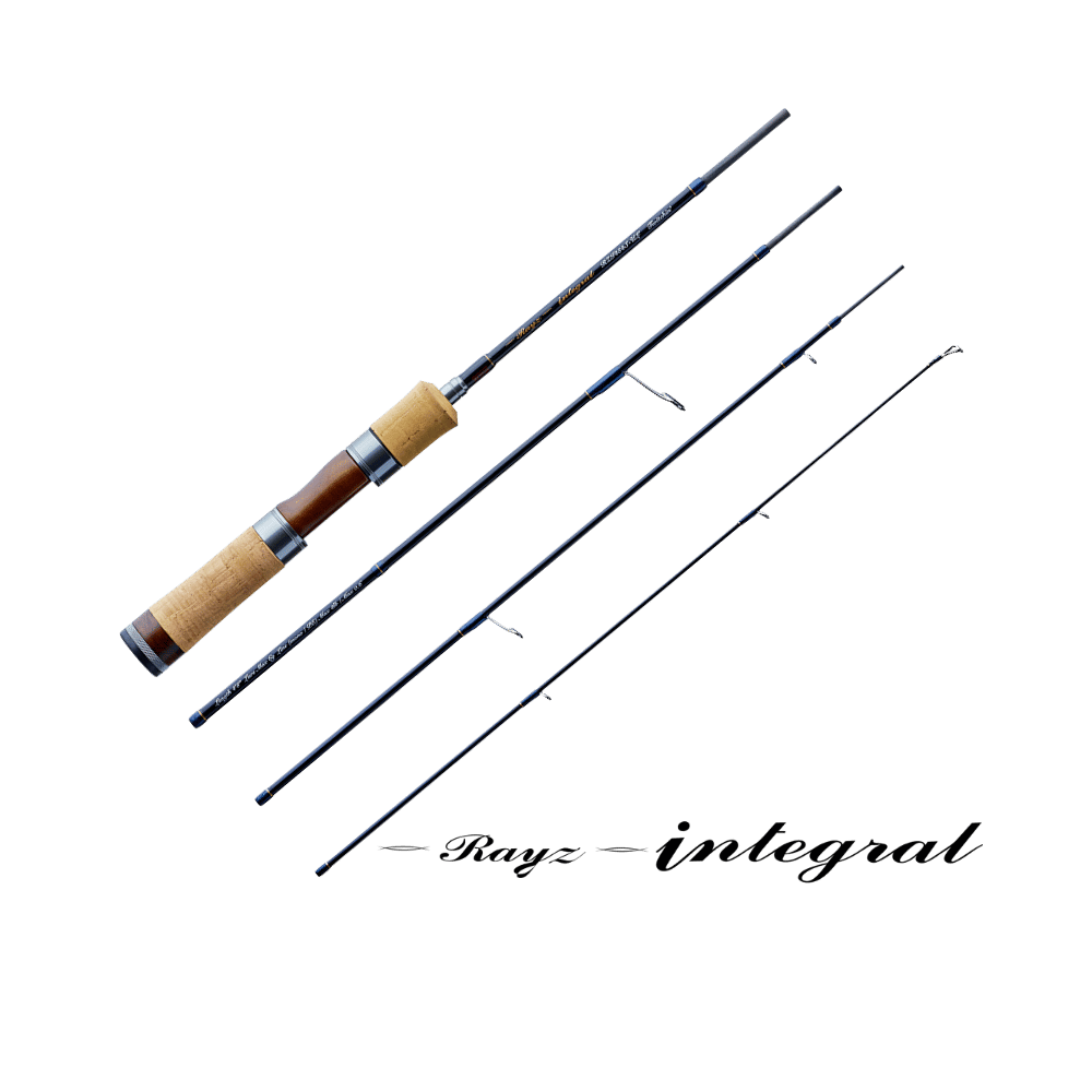 Tenryu Rayz İntegral