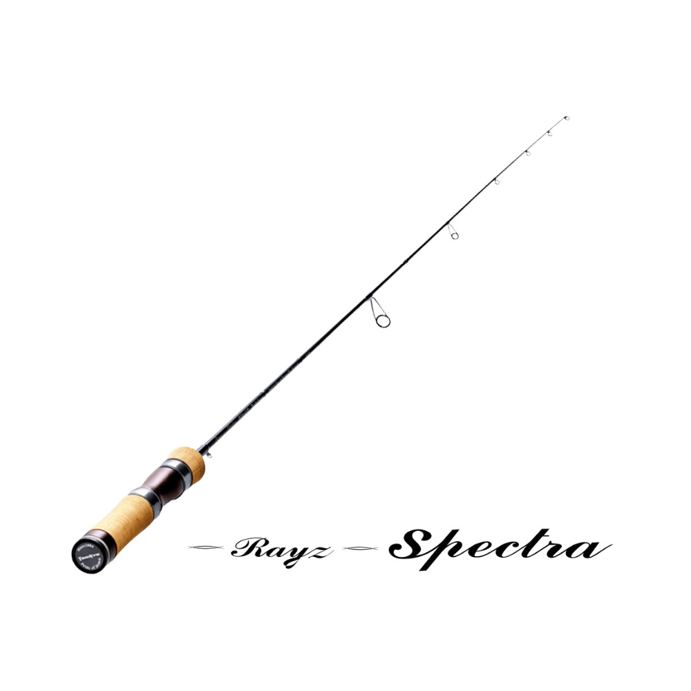  Man RAYS 3形態 Tenryu Rayz Spectra