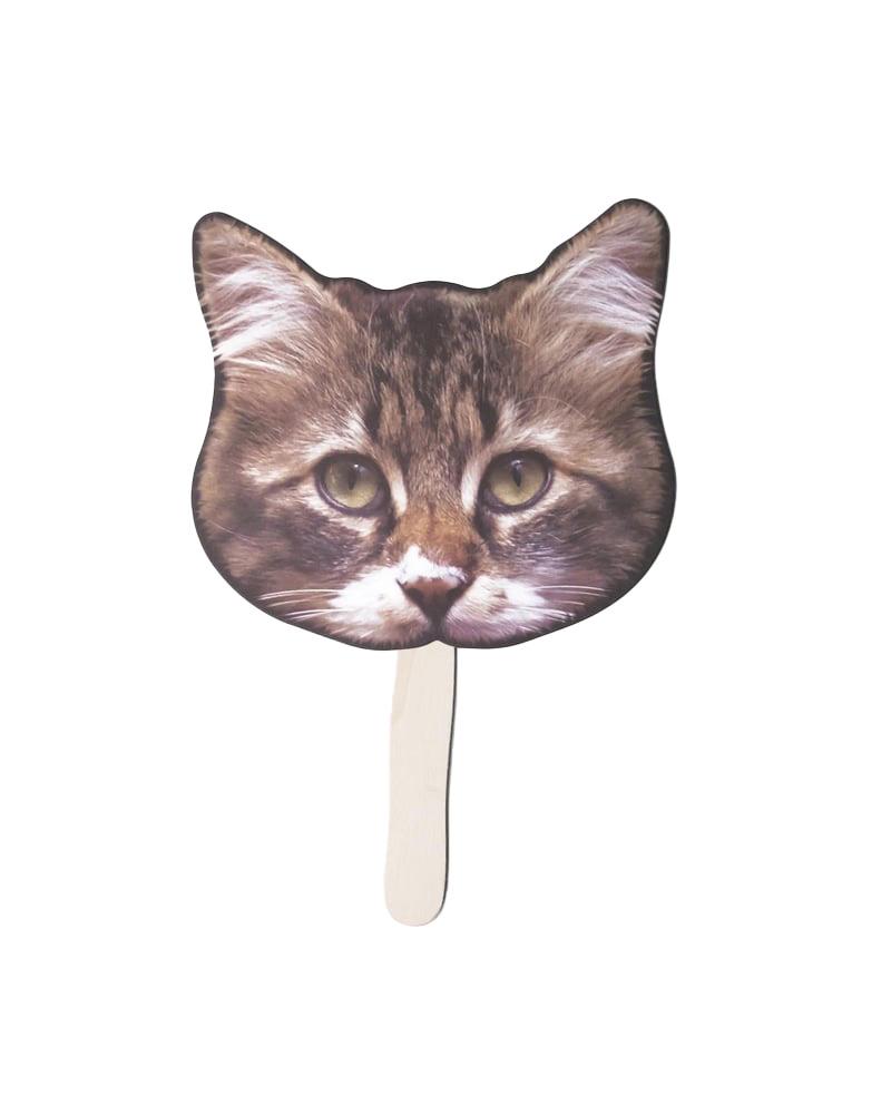 Kağıthane Yelpaze-Tekir Kedi