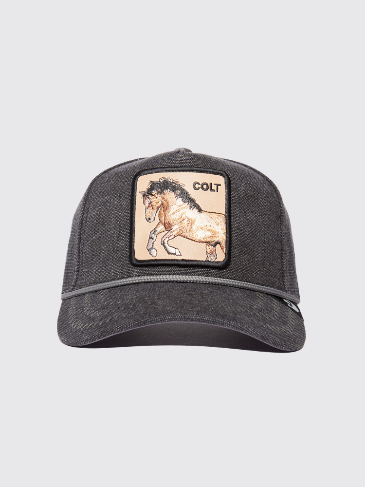 Goorin Bros - Bucking Duck 101-1731 (AT)