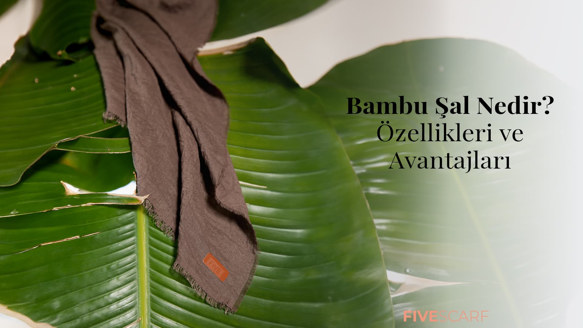 bambu şal nedir özellikleri