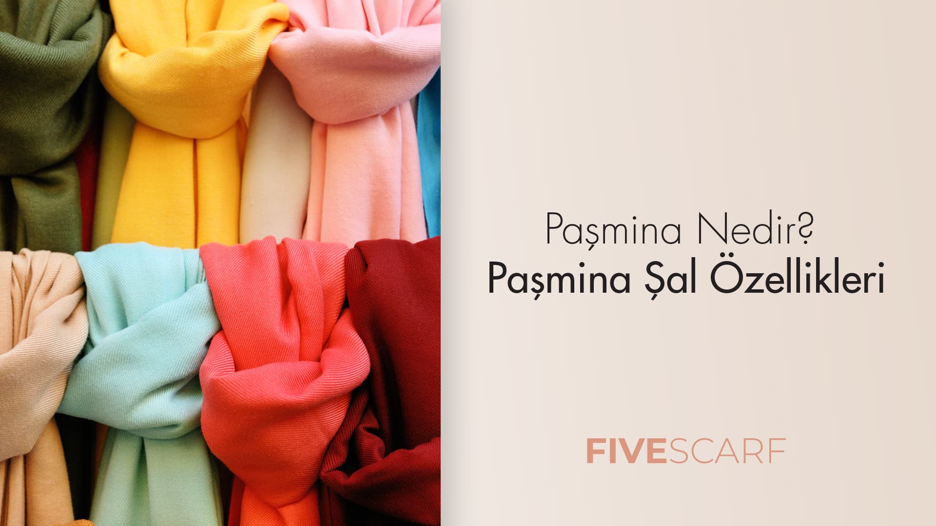 paşmina nedir