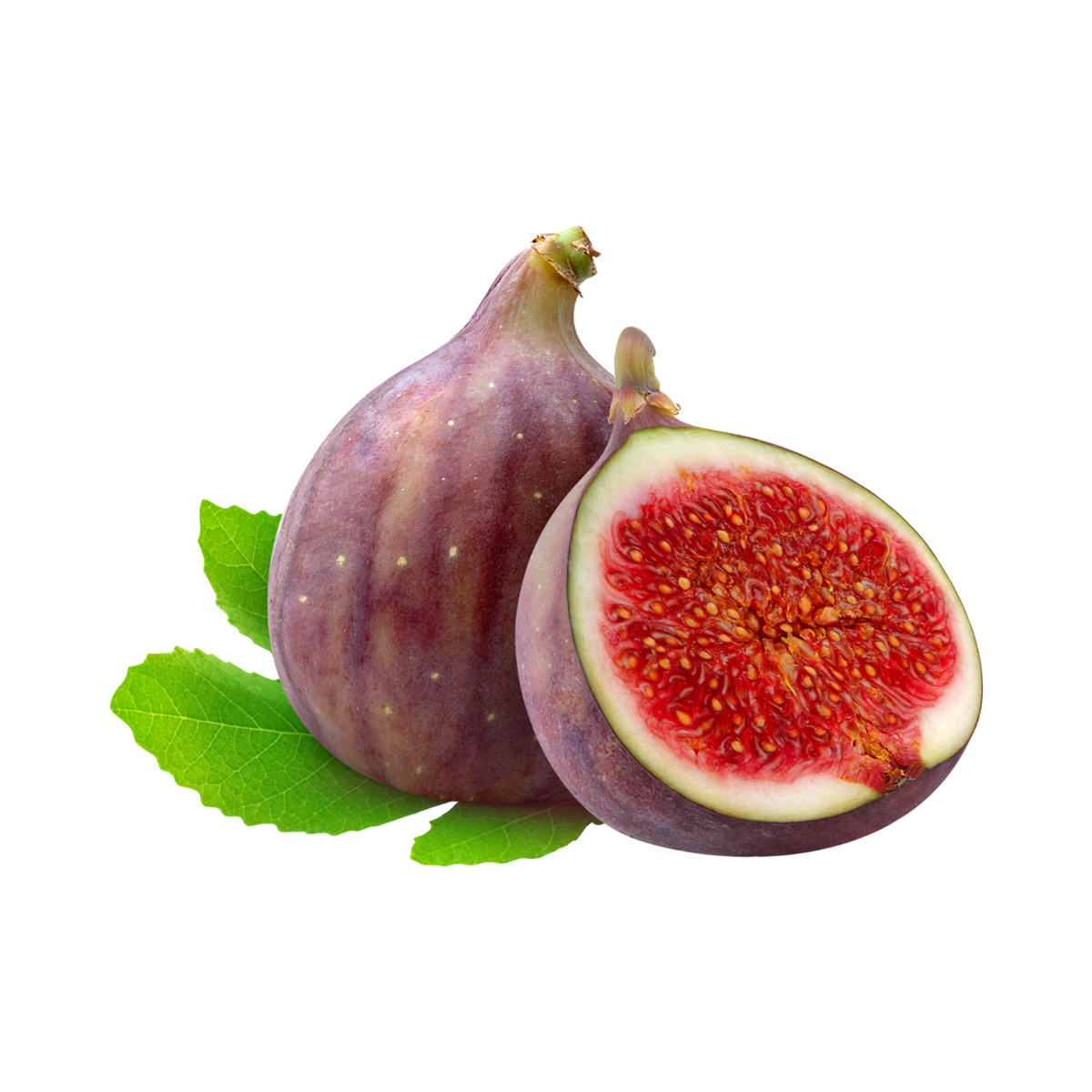 Lüx İncir