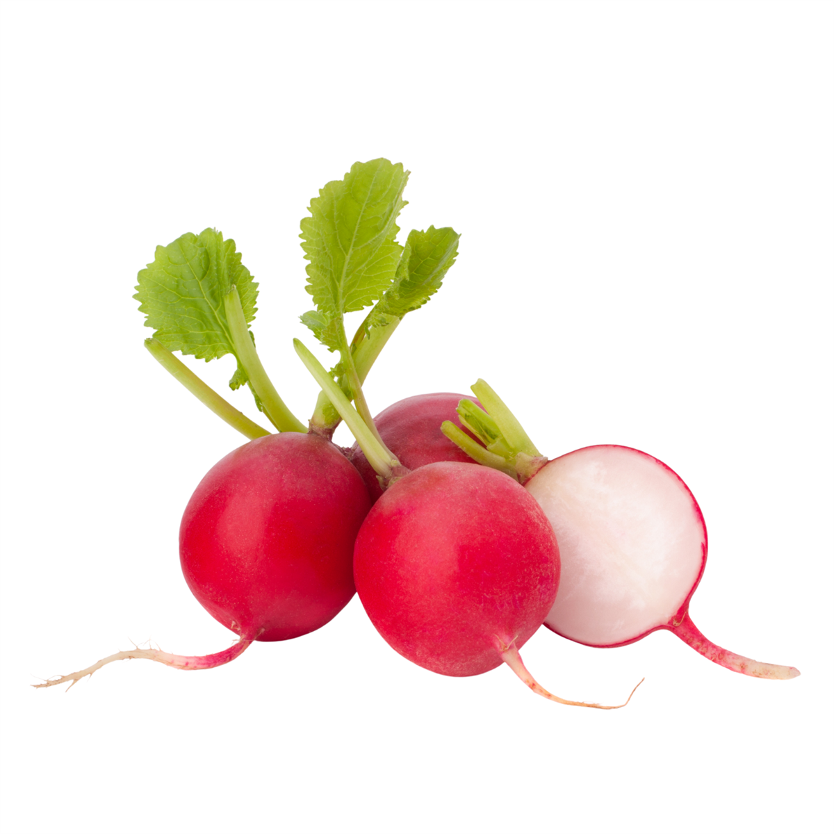 Turp
