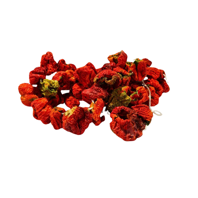 Antep Dolmalık Biber Kurusu