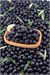 Gurme Special Siyah Zeytin