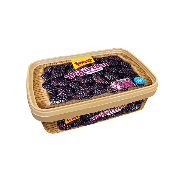 Feast Böğürtlen Dondurulmuş Meyve 350 grFeast