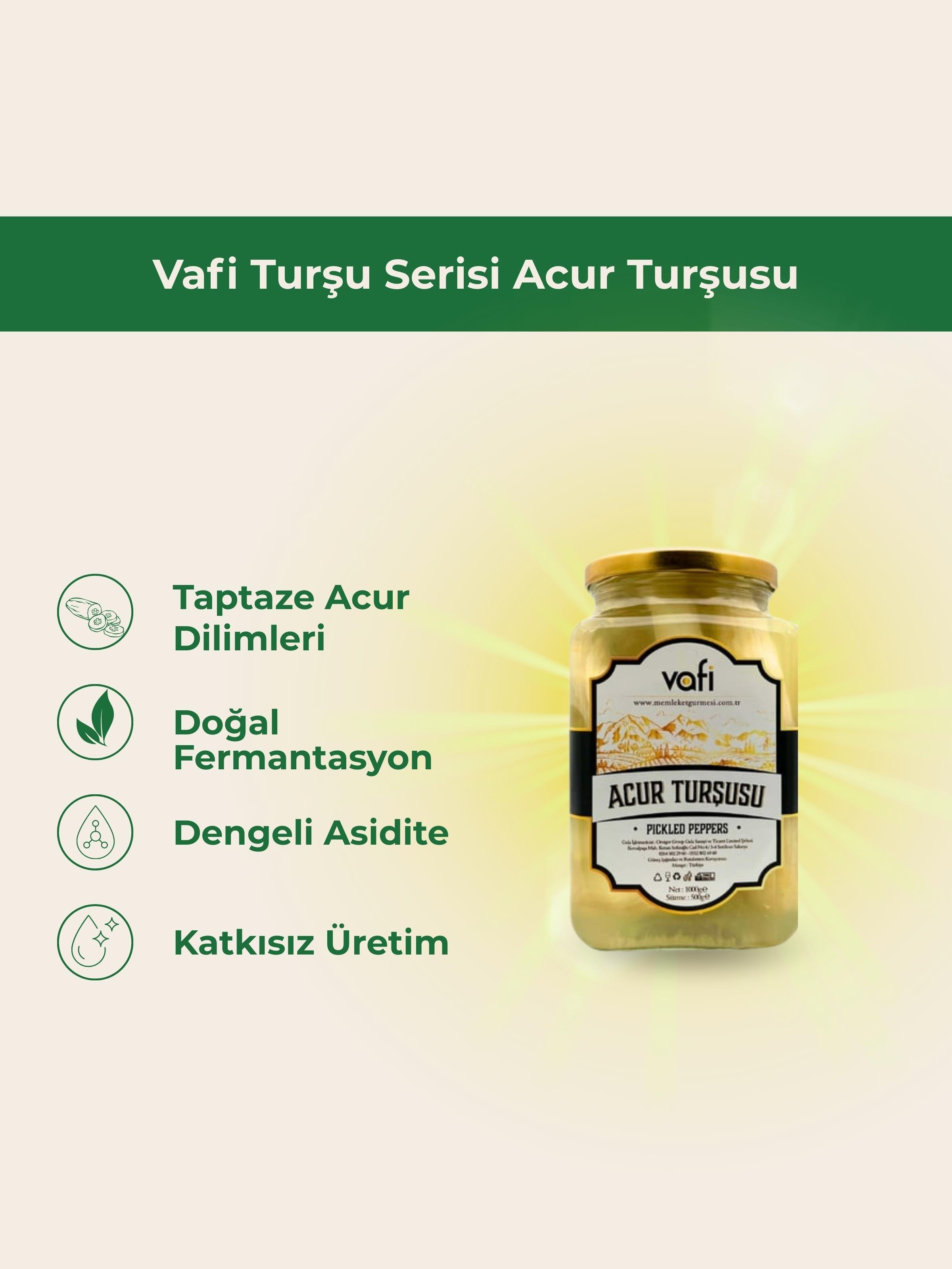 Vafi Turşu Serisi Acur Turşusu 1000cc-500grMemleket Gurmesi