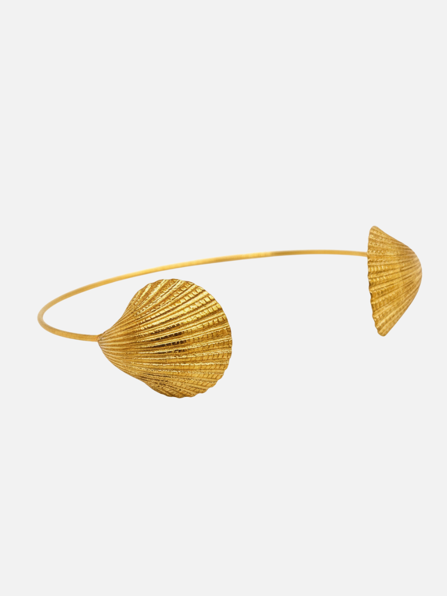 İkili Deniz Kabuğu Kelepçe