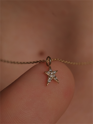 14 Ayar Altın Yıldız Kolye