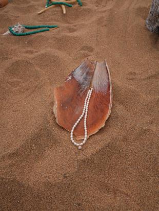 14k Gold Cosmic Chain Horoscope Necklace