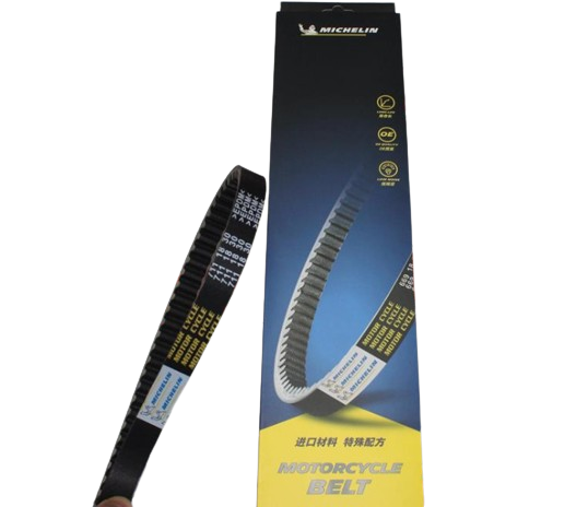 CYGNUS L MICHELIN KAYIŞ CYGNUS L