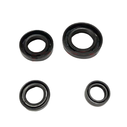 CYGNUS RS 125 KEÇE 4 LÜ