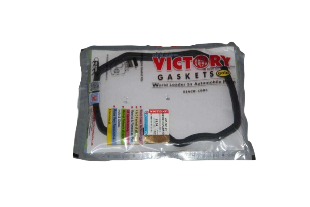 DISCOVER 150 ORİNG 100/125/135