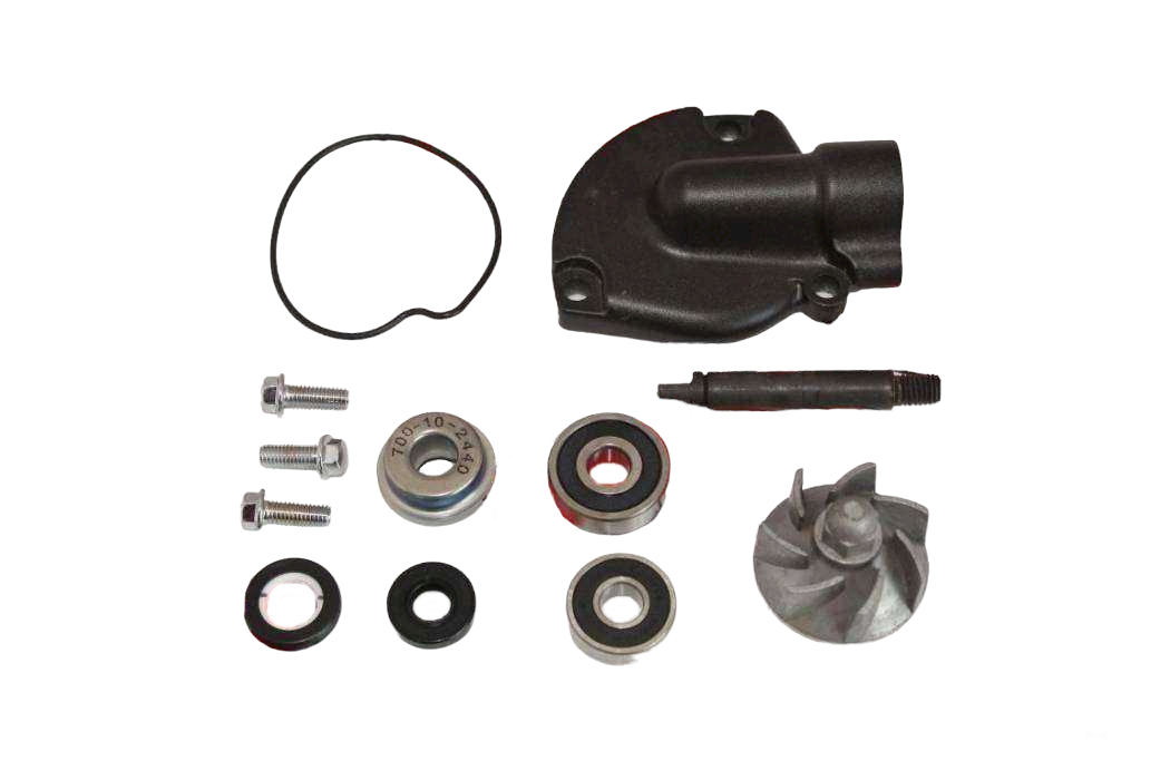 REGAL RAPTOR DD350E-6C / DD250-9A / MR DESTRO 350 SU POMPA