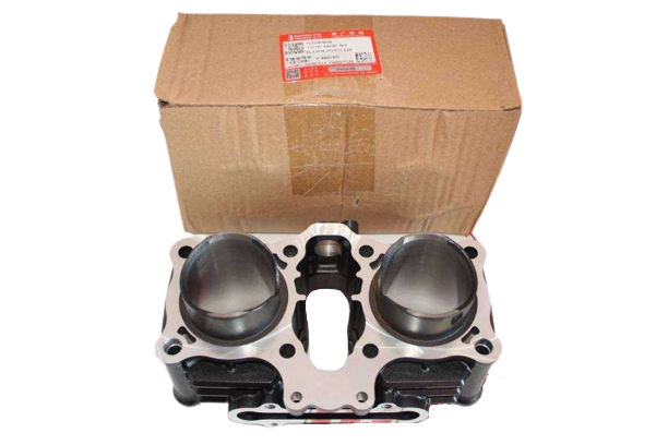 SUZUKI GSXR 250/GW İNAZUMA/V-STROM 250 SİLİNDİR