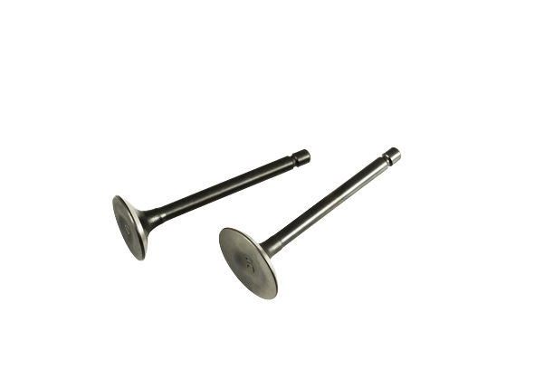 YBR 125 SİBOP TAKIM HİNDİSTAN