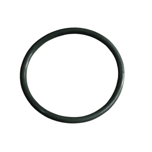 Tvs Raider 125 Manifold Oringi Orjinal