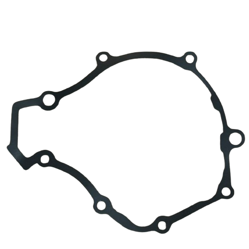 Tvs Raider 125 Manyeto Kapak Contası Orijinal