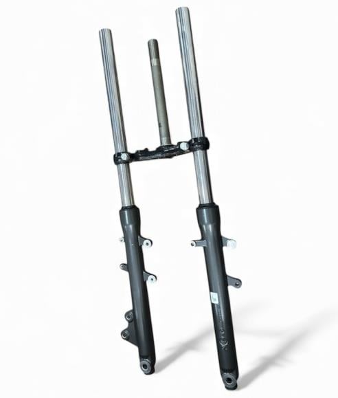 Tvs Raider 125 Ön Amortisör Komple Takım Orijinal