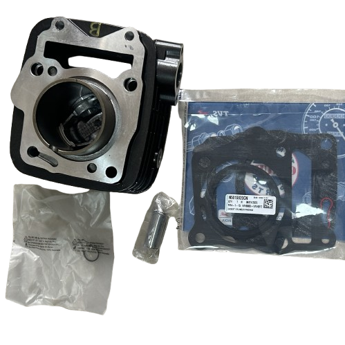 Tvs Raider 125 Silindir Piston Sekman Seti Orjinal
