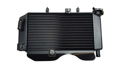 Cf Moto NK 250 (2023-2025) Radyatör Orijinal