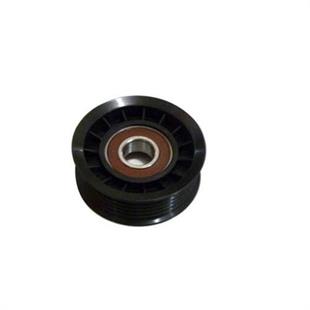 Tensioner Pulley, V-Ribbed Belt Golf Iv-Golf V-T5