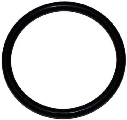  Прокладка, термостат