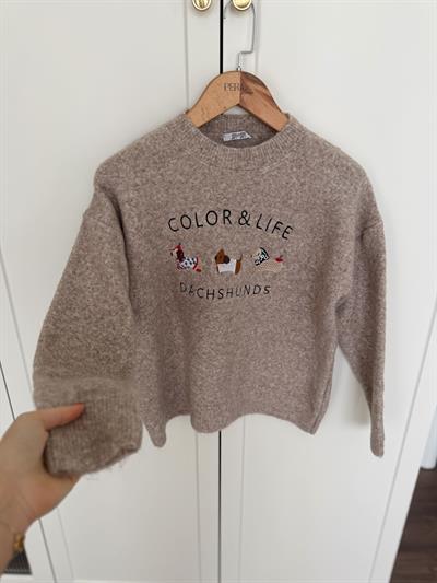 Color & Life Nakışlı Bej Triko