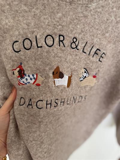 Color & Life Nakışlı Bej Triko