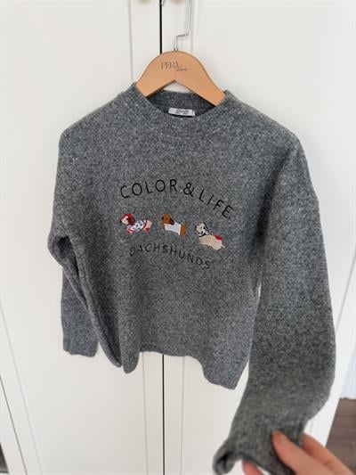 Color & Life Nakışlı Gri Triko