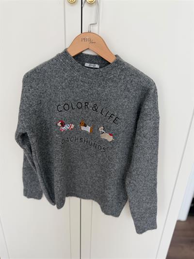 Color & Life Nakışlı Gri Triko