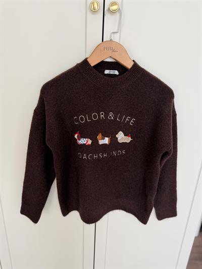 Color & Life Nakışlı Kahverengi Triko