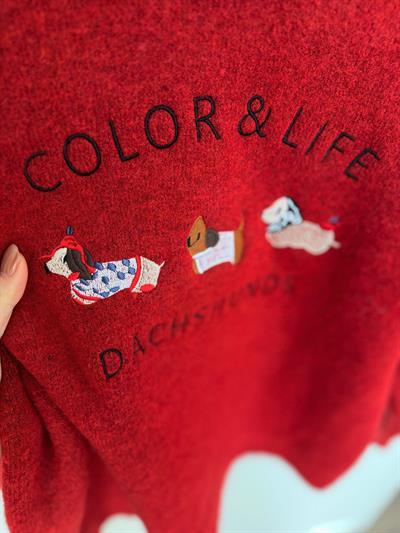 Color & Life Nakışlı Kırmızı Triko